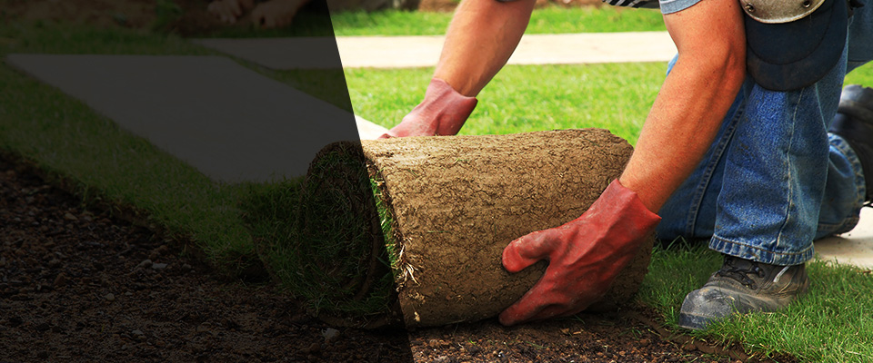 West Olive Landscapers